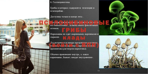 гашик Алзамай