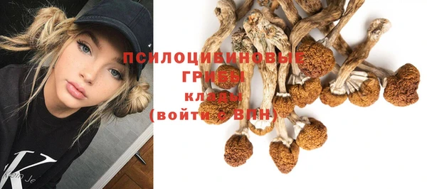 гашик Алзамай
