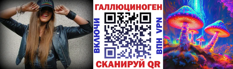 Псилоцибиновые грибы Psilocybine cubensis  даркнет сайт  Чаплыгин 